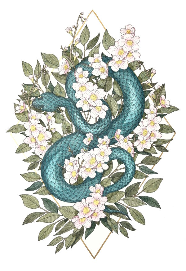 Snake & Cherry Blossom Print